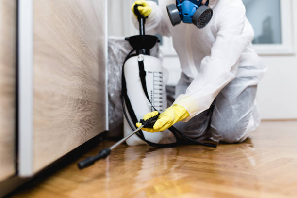 Best Bed Bug Extermination  in Pleak, TX