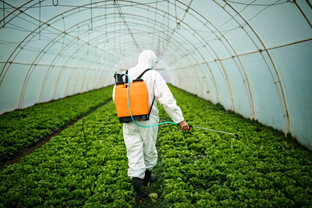 Best Best Pest Control Companies  in Pleak, TX