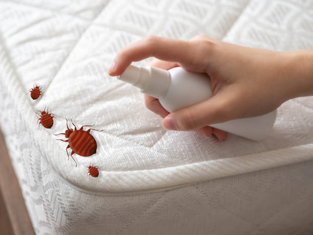 Pest Control for Restaurants in Pleak, TX