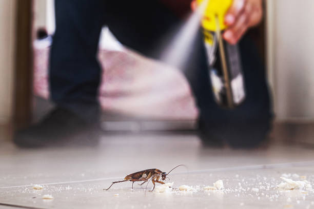 Best Pest Removal Services  in Pleak, TX