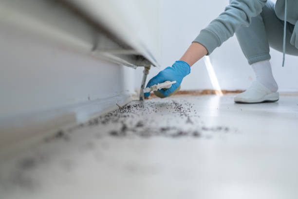 Best Pest Prevention Services  in Pleak, TX