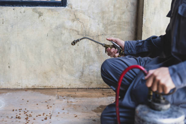 Best Pest Control for Homes  in Pleak, TX