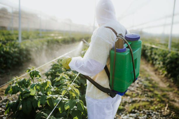 Best Affordable Pest Control Services  in Pleak, TX
